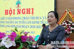 Tổng kết 5 năm phong trào thi đua và biểu dương người cao tuổi làm kinh tế giỏi giai đoạn 2018 – 2023