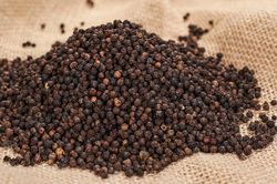 Tâm lý chờ hàng vụ mới đẩy giá tiêu giảm 500 đồng/kg