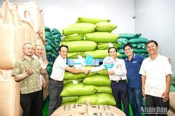 Simexco DakLak xuất chính ngạch lô hàng nguyên container cà-phê đặc sản đầu tiên sang Nhật Bản