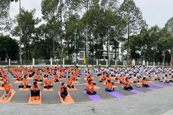 Hơn 500 người tham dự Ngày Quốc tế Yoga tại Đồng Tháp