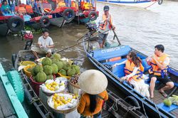 Lênh đênh chợ nổi Cái Răng sáng sớm: Xa rồi thời ghe thuyền nối đuôi tấp nập