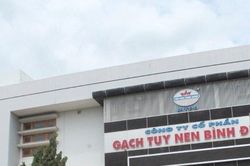 Gạch Tuy nen Bình Định: Đa số tài sản dùng thế chấp các khoản vay
