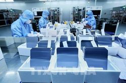 Dấu hiệu phục hồi về lao động tại Tp. Hồ Chí Minh