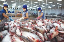 Khả năng cạnh tranh của thủy sản Việt Nam tại Vương quốc Anh