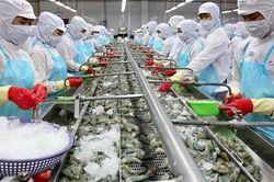 Số doanh nghiệp gia nhập và tái nhập thị trường đạt mức cao nhất