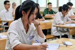 Gợi ý giải Đề thi môn Ngữ văn thi tốt nghiệp THPT