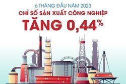 6 tháng đầu năm 2023: Giá trị tăng thêm toàn ngành công nghiệp ước tính tăng 0,44%