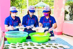 Tình nguyện viên đồng hành cùng sĩ tử đất mũi Cà Mau