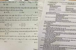 Đình chỉ 2 thí sinh làm lọt đề môn Toán và Ngữ văn