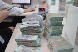 Những trường hợp ngân hàng không được cho vay tiền