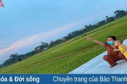 Đâu rồi 'nghỉ hè' của con?