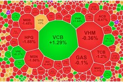 Lại điều chỉnh diện rộng, VCB, VNM đỡ không nổi