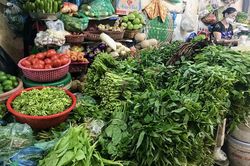 Chỉ số giá tiêu dùng tháng 6 tăng 0,27%