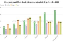 4 mặt hàng nông sản xuất khẩu đạt trị giá tỷ USD nửa đầu năm 2023