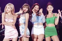 Giám đốc Sở Văn hóa: 'Hồ sơ xin cấp phép concert BlackPink đã đầy đủ'