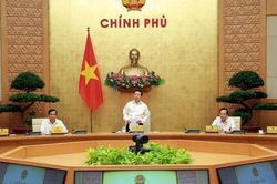 Quan tâm đến người cao tuổi cũng là khẳng định trách nhiệm với thế hệ mai sau