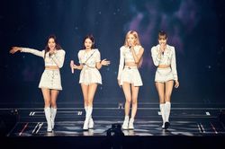 Hà Nội tạo mọi điều kiện tổ chức để sẵn sàng đón BLACKPINK