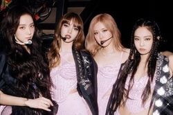 Concert BlackPink ở Hà Nội: Lừa bán vé tới 28 triệu đồng