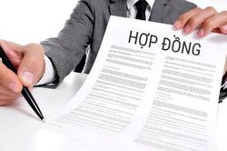Kênh đại lý bán bảo hiểm qua các ngân hàng có nhiều sai phạm