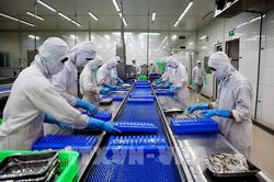 Đẩy mạnh tích hợp công nghệ số trong quản lý dịch bệnh thủy sản