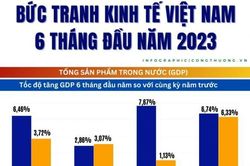 Infographics | Nhiều gam màu sáng trong bức tranh kinh tế Việt Nam 6 tháng đầu năm 2023