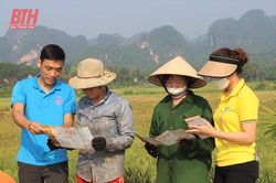 Hướng tới bao phủ BHYT toàn dân, đảm bảo sự hài lòng của người bệnh