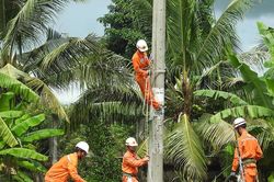Công ty Điện lực An Giang diễn tập phòng, chống thiên tai và tìm kiếm cứu nạn năm 2023