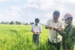 Điểm tựa của nông dân Krông Pa