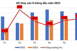 Xuất khẩu tôm tháng 6 đạt trị giá cao nhất trong nửa đầu năm 2023