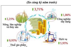 Kinh tế Cần Thơ 6 tháng đầu năm đối diện với nhiều thách thức