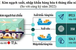 Kinh tế xã hội Đà Nẵng 6 tháng đầu năm 2023: Còn nhiều khó khăn, thách thức