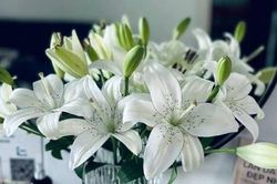 Tử vi thứ Bảy 1/7/2023 của 12 cung hoàng đạo