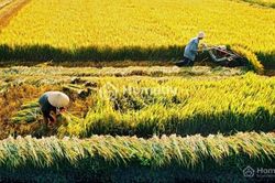 Xôn xao tháng bảy