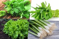 5 loại rau 'rẻ như cho' ở Việt Nam sang nước ngoài đắt không tưởng