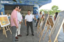 Triển lãm tranh chủ đề 'Sơn Trà - đánh thức vẻ đẹp tự nhiên'