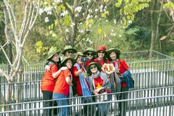 Trồng, chăm sóc cây hoa ban phục vụ du lịch còn nhiều hạn chế