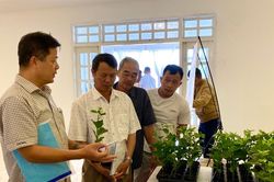 Tập huấn kỹ thuật trồng và chăm sóc cây chanh dây