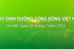 Có gì thú vị ở Ngày Dinh dưỡng cộng đồng Việt Nam tại Bờ Hồ sáng 2/7?