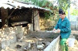 Điện Biên hỗ trợ hộ nghèo ở xã nông thôn mới