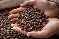 Gạo, lợn hơi tiếp tục tăng giá; Cà phê giảm tới 900 đồng/kg