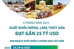 6 tháng năm 2023: Xuất khẩu nông, lâm, thủy sản đạt gần 25 tỷ USD