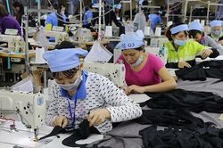 Thúc đẩy tạo 'việc làm xanh', phát triển sinh kế bền vững cho người lao động