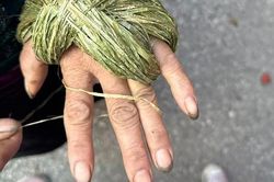 Đôi bàn tay mẹ