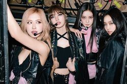 BTC concert BlackPink ở Hà Nội: 'Vé giấy là giả mạo, lừa đảo'
