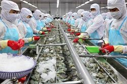 Bộ NN&PTNT nói gì về mục tiêu xuất khẩu 54 tỷ USD trong năm 2023?