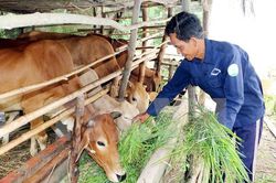 Thách thức trong nỗ lực giảm nghèo
