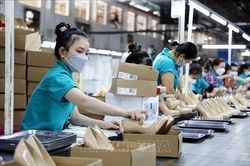 Phát triển nhân lực chất lượng cao đáp ứng yêu cầu các ngành, lĩnh vực