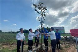 Lan tỏa thông điệp 'Vì một Bến Tre xanh'