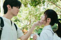 Được khán giả 'quay xe' khen ngợi nhưng Vụng Trộm Không Thể Giấu của Triệu Lộ Tư vẫn mắc sai lầm