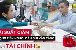 Bản tin Kinh tế tài chính | 03/07/2023